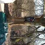 Campo de lujo Praha Glamping Loděnice