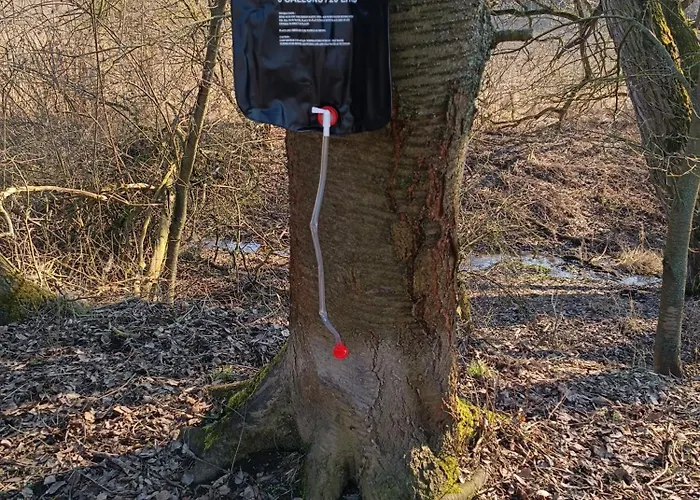 Praha Glamping Роскошный шатер